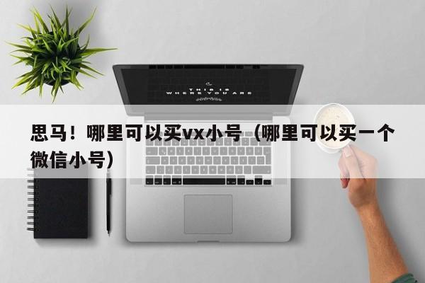 思马！哪里可以买vx小号（哪里可以买一个微信小号）