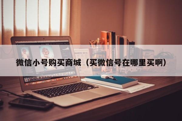 微信小号购买商城（买微信号在哪里买啊）