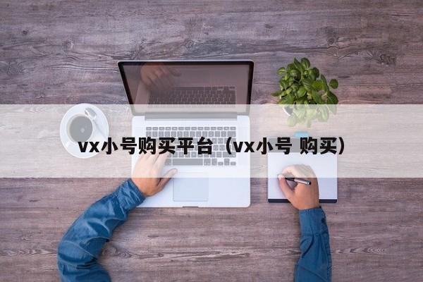vx小号购买平台（vx小号 购买）