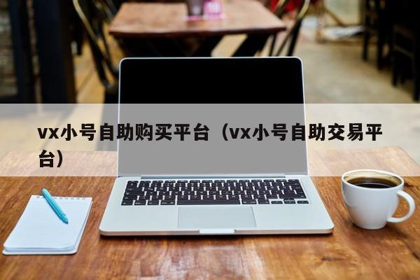 vx小号自助购买平台(vx小号自助交易平台)