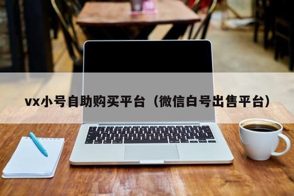 vx小号自助购买平台（微信白号出售平台）