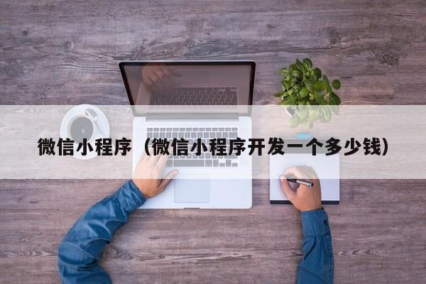 微信小程序（微信小程序开发一个多少钱）