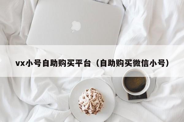 vx小号自助购买平台（自助购买微信小号）