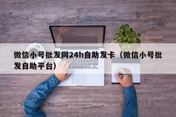 微信小号批发网24h自助发卡（微信小号批发自助平台）