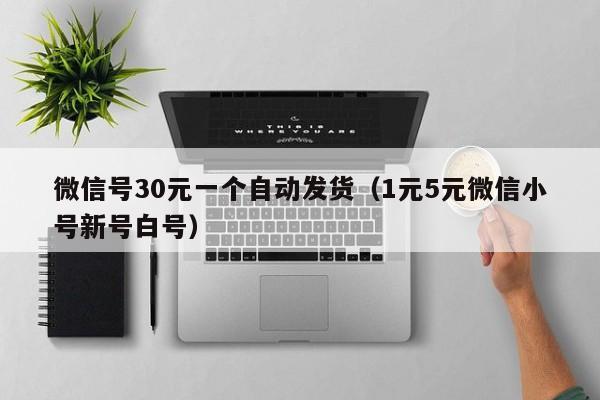 微信号30元一个自动发货（1元5元微信小号新号白号）