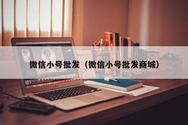 微信小号批发（微信小号批发商城）