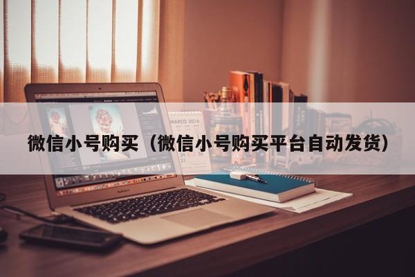 微信小号购买（微信小号购买平台自动发货）
