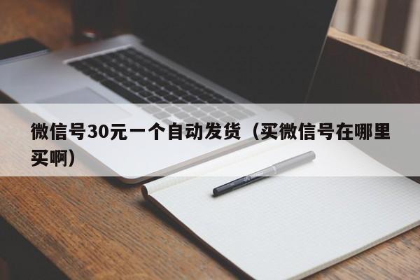 微信号30元一个自动发货（买微信号在哪里买啊）