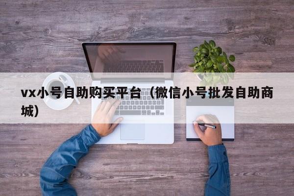 vx小号自助购买平台（微信小号批发自助商城）