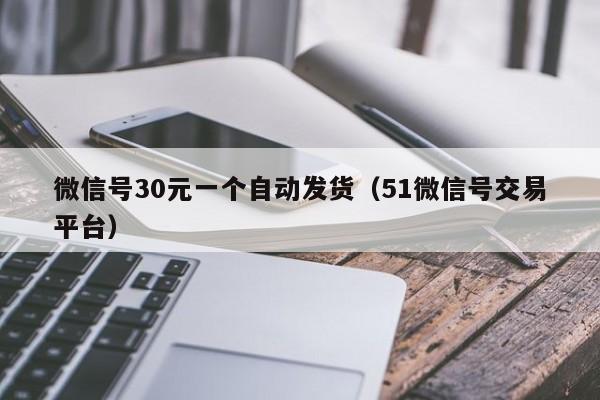 微信号30元一个自动发货（51微信号交易平台）