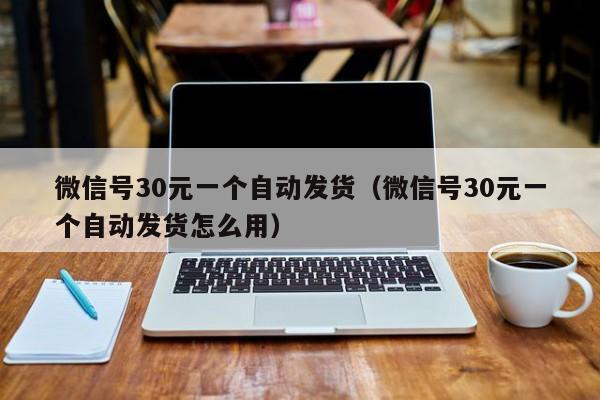微信号30元一个自动发货（微信号30元一个自动发货怎么用）