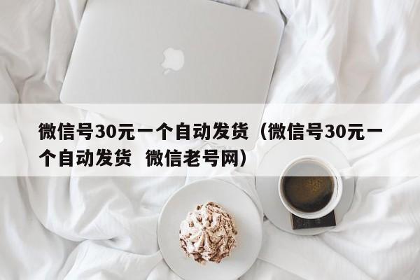 微信号30元一个自动发货（微信号30元一个自动发货  微信老号网）