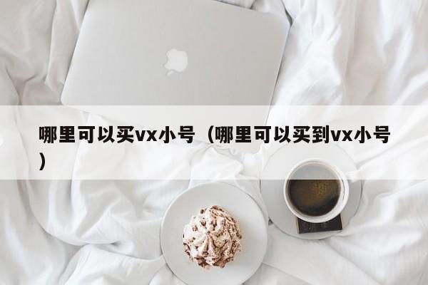 哪里可以买vx小号（哪里可以买到vx小号）