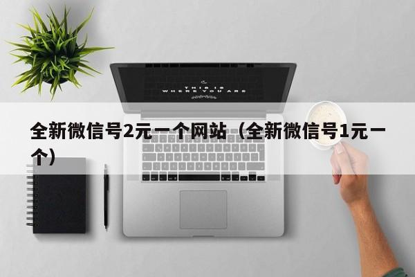全新微信号2元一个网站(全新微信号1元一个)