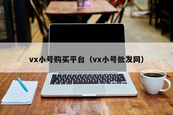 vx小号购买平台（vx小号批发网）