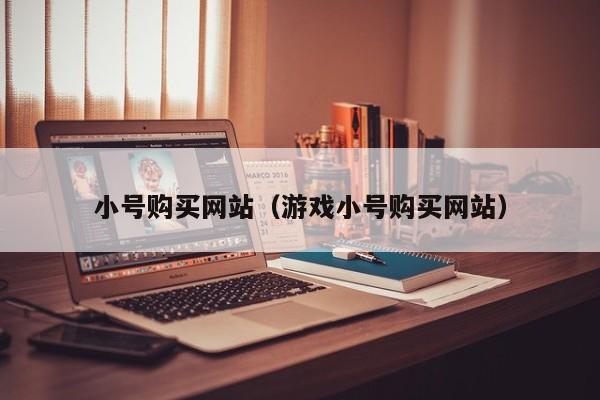 小号购买网站（游戏小号购买网站）