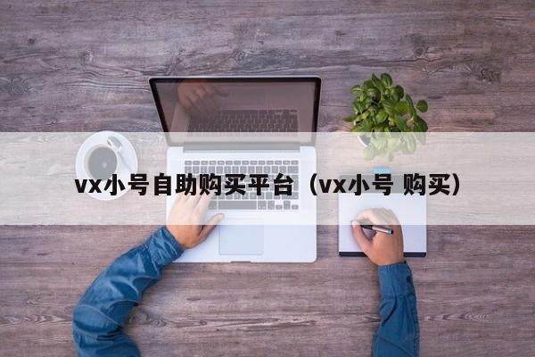 vx小号自助购买平台（vx小号 购买）