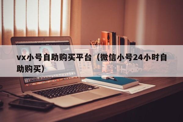 vx小号自助购买平台(微信小号24小时自助购买)