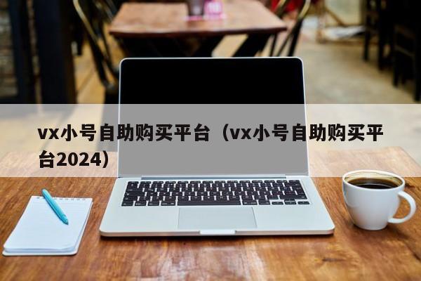 vx小号自助购买平台（vx小号自助购买平台2024）
