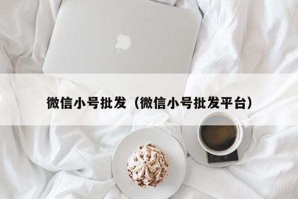 微信小号批发（微信小号批发平台）