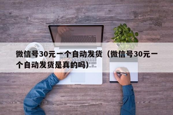 微信号30元一个自动发货（微信号30元一个自动发货是真的吗）