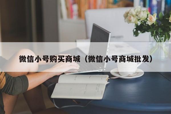 微信小号购买商城（微信小号商城批发）