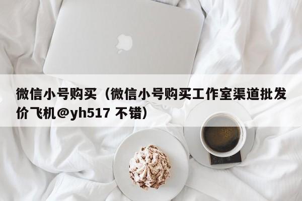 微信小号购买（微信小号购买工作室渠道批发价飞机@yh517 不错）