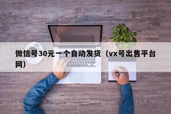 微信号30元一个自动发货（vx号出售平台网）